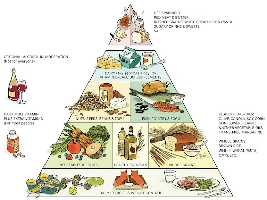 A food pyramid with different foods on it.