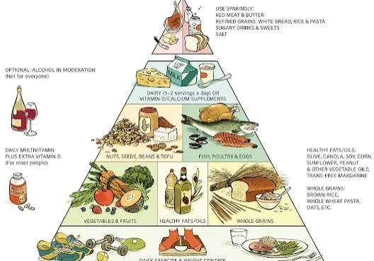 A food pyramid with different foods on it.